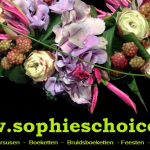 Sophie’s choice